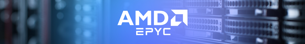 AMD EPYC™ KVM-Server
